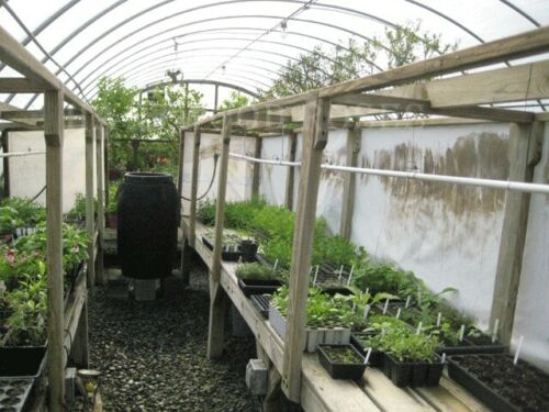 Non GMO Heirloom Vegetable Organic Plant Seeds 21 Variety Pack 1,440+ - Dealjas