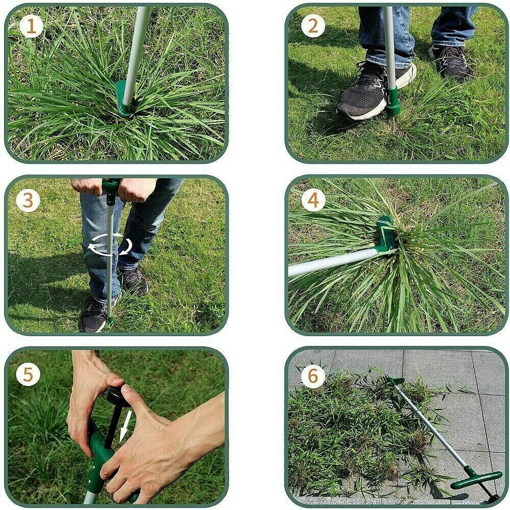 Weed Puller Tool Stand Up Plant Root Extractor Dandelion Remover - Dealjas