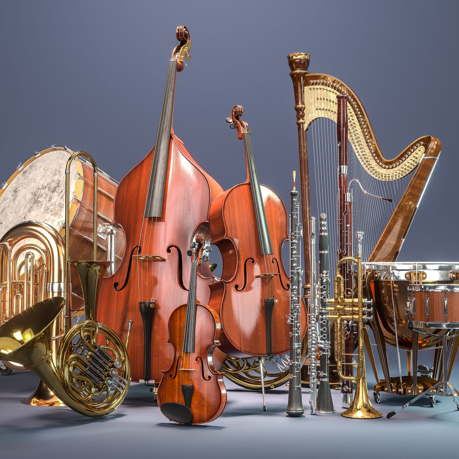 Musical Instruments & Accessories