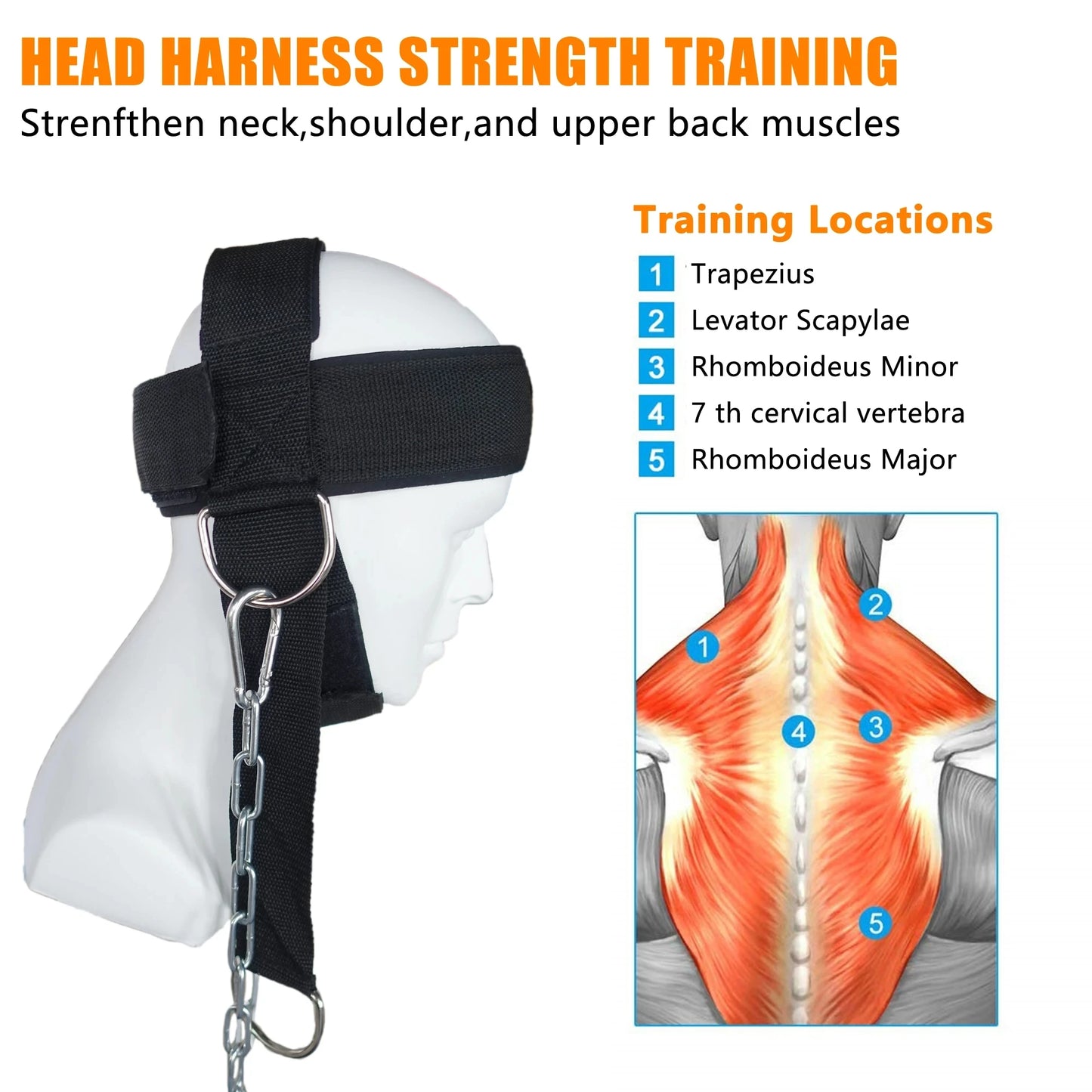 Neck Power Boost Training Harness