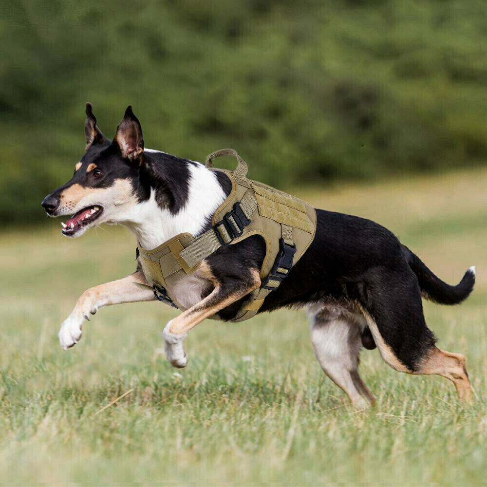 Tactical Dog Harness With Handle No Pull Training Vest Military Gear - Dealjas