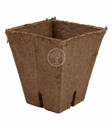 Square Peat Moss Pots Biodegradable Seed Starter Planter 50/100 Pack - Dealjas