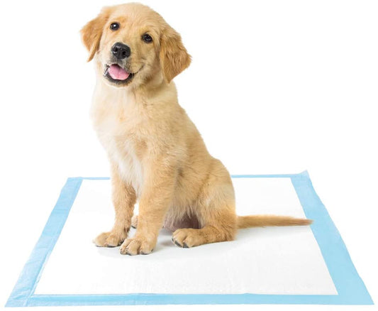 Puppy Pads 5-Layer Pee Pads with Quick-dry Surface for Potty Training - Dealjas