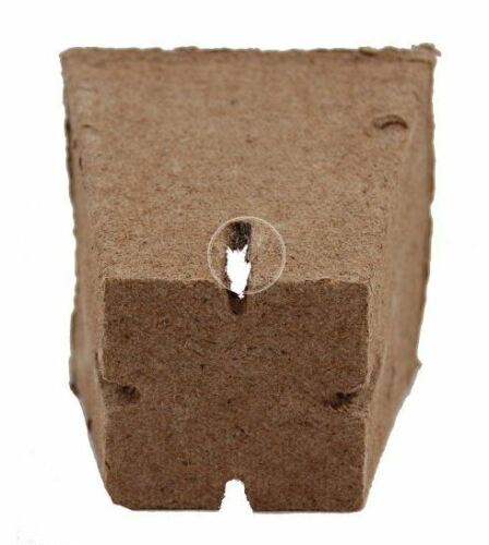 Square Peat Moss Pots Biodegradable Seed Starter Planter 50/100 Pack - Dealjas