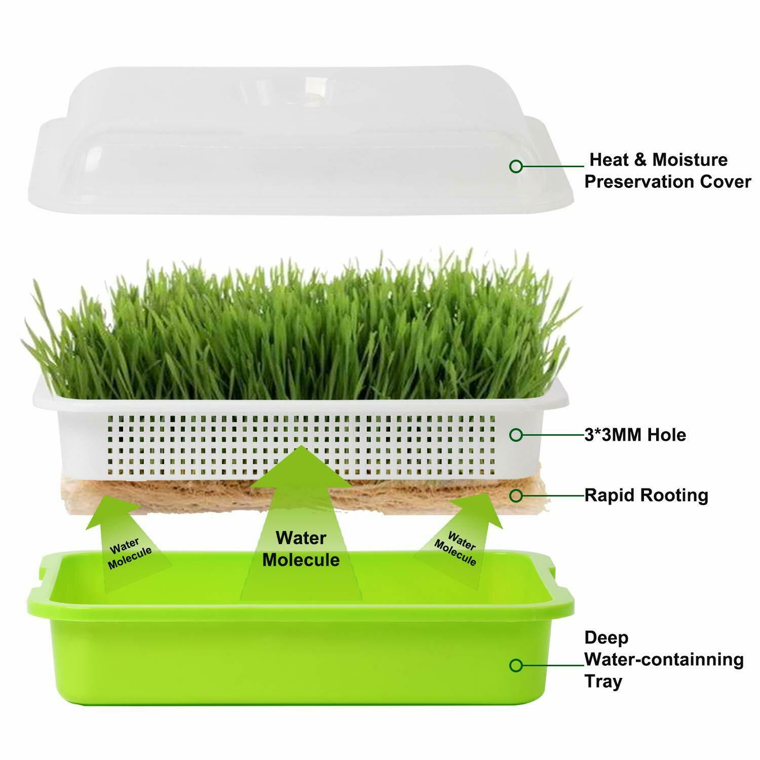 Seed Starting Trays Germination Plastic Seedling Tray with Dome 5 Packs - Dealjas