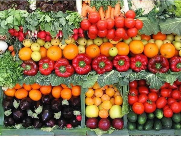 Non GMO Survival Heirloom Vegetable Seeds 50+ Variety Pack 300,000 - Dealjas