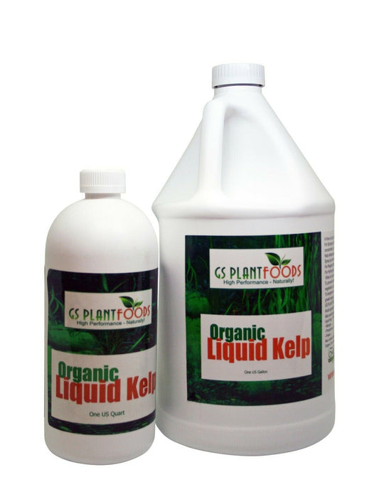 Organic Liquid Kelp Fertilizer Vegetable Micronutrients Plant Foods - Dealjas