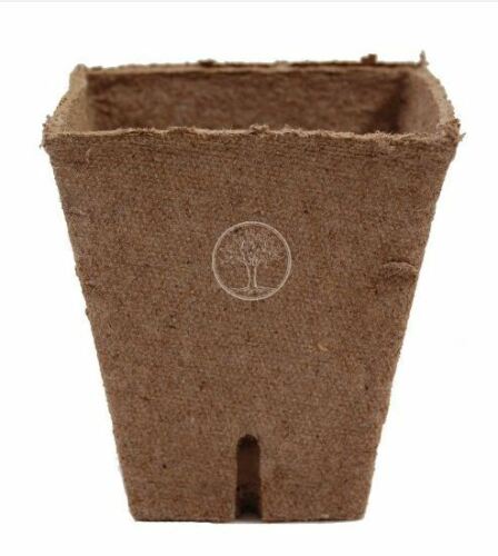 Square Peat Moss Pots Biodegradable Seed Starter Planter 50/100 Pack - Dealjas