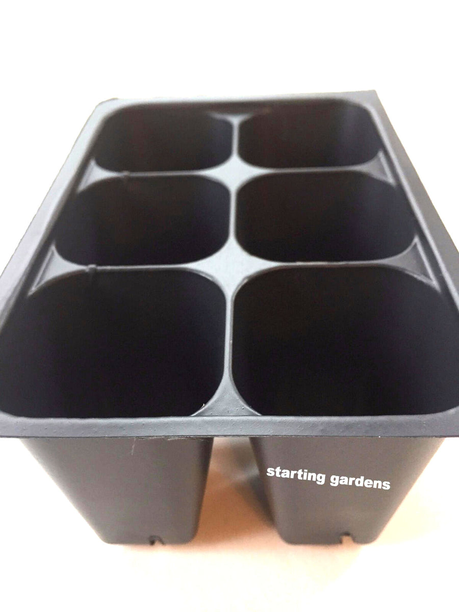 144 Cells Seed Starter Trays Seedling Germination (24 Trays, 6-Cells) - Dealjas