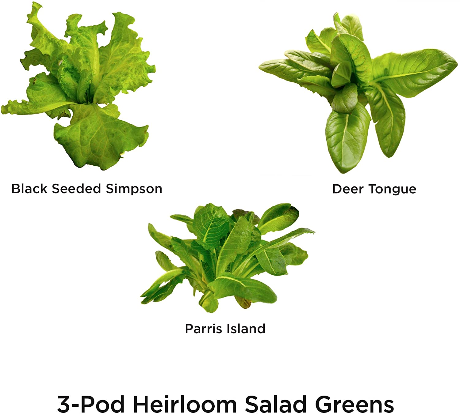AeroGarden Heirloom Salad Greens Seed Pod Kit Indoor Gardening 3 Pods - Dealjas