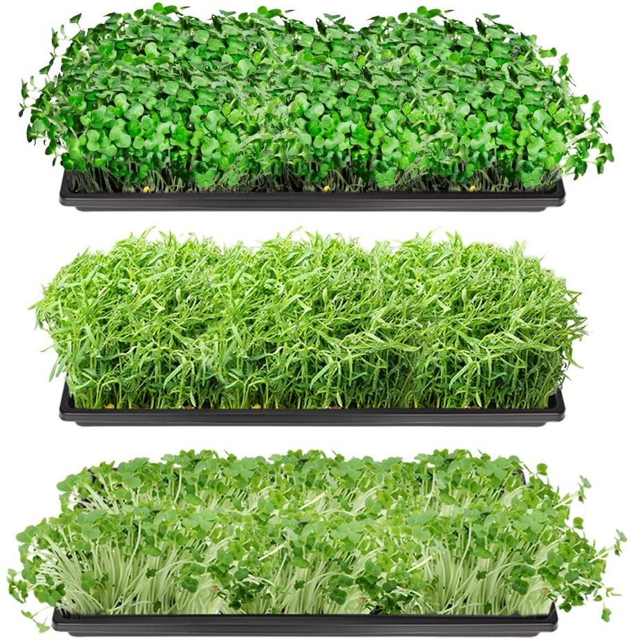 1020 Plant Growing Seed Starting Trays Seedling Germination 10 Packs - Dealjas