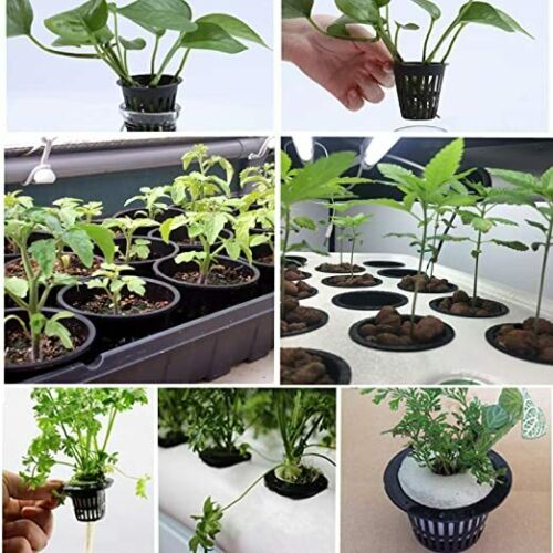 Net Cup Pots Hydroponic System Grow Garden Slotted Mesh 2 Inch 50 Pack - Dealjas