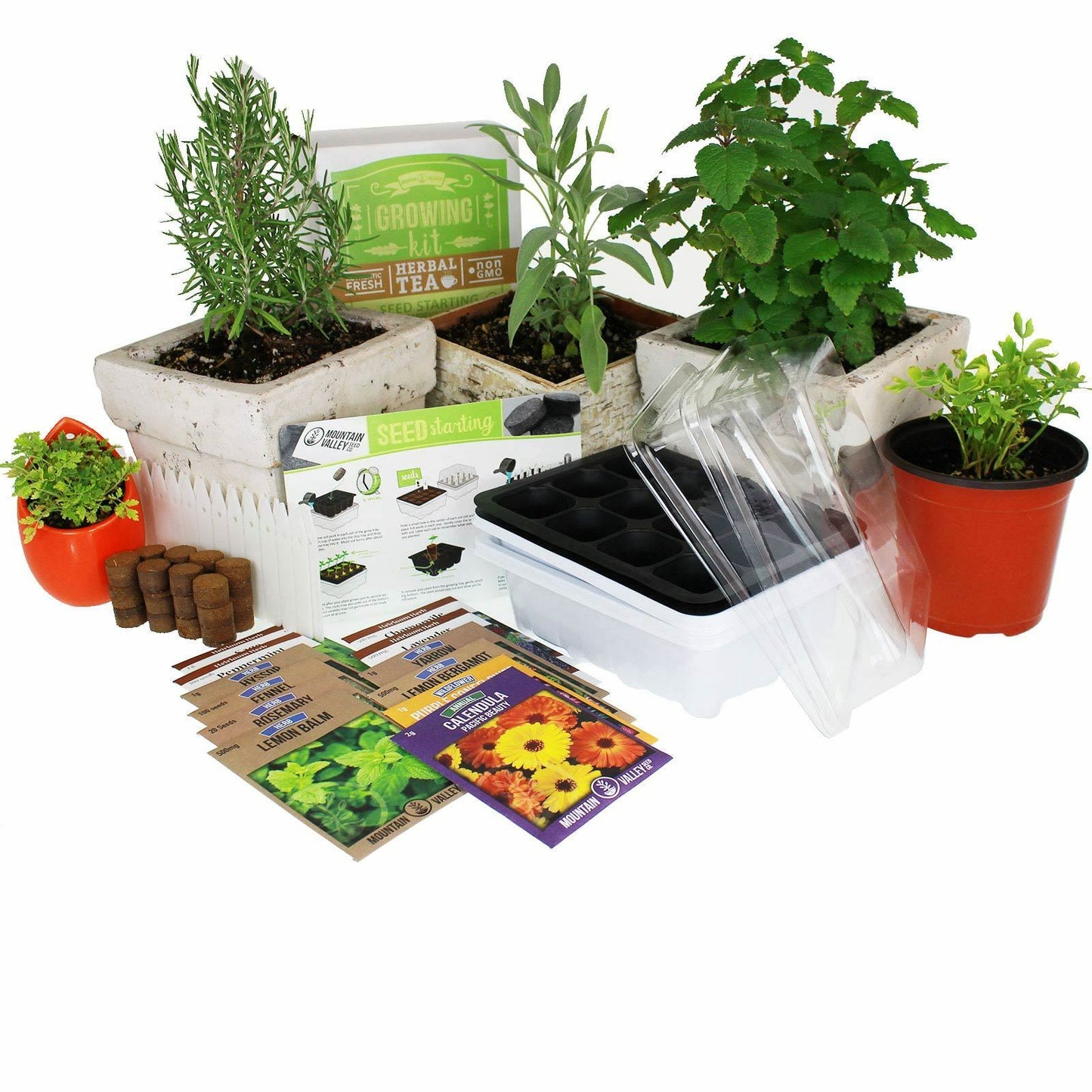 Indoor Medicinal and Herbal Tea Garden Seed Starter Kit Non GMO Seeds - Dealjas