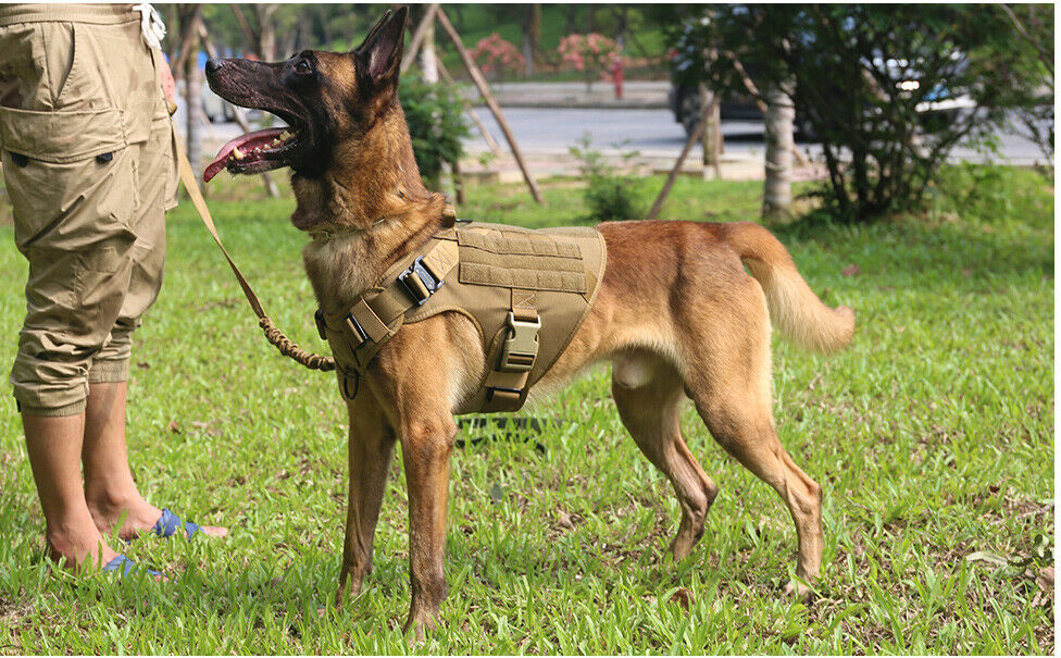 Tactical Dog Harness With Handle No Pull Training Vest Military Gear - Dealjas